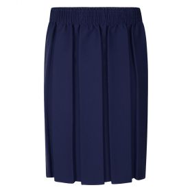 Navy Boxed Pleated Skirt