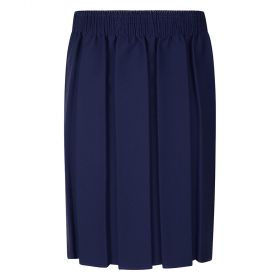 Navy Boxed Pleated Skirt